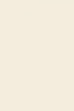 FARROW AND BALL WHITE TIE NO. 2002 PAINT